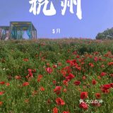 避开人潮享花海私景｜杭州超小众美照天堂