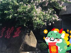 -亚龙湾热带天堂森林公园