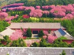 -石岛赤山风景区