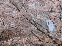 -上海体育场(地铁站)