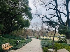 -上海方塔园