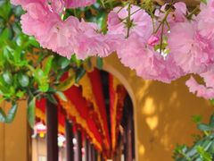 -龙华寺