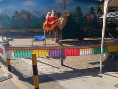 -西霞口神雕山野生动物世界