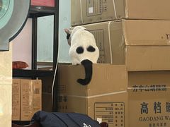 -方中山胡辣汤(蓝堡湾店)