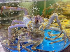 -蟹之国·精品蟹料理(极地店)