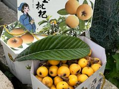 -长圻码头