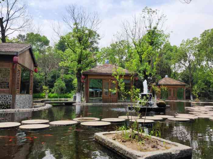 七彩莲园-"朋友圈微信看到的介绍,图片看着不错,5."-大众点评移动版