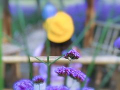 -杭州城北体育公园