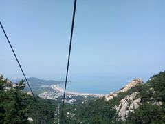 -九龙餐厅(大沽路店)