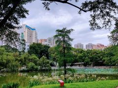 -人民公园(罗湖区)