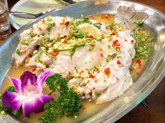 青柠蒸鱼-荷花泰菜(东方新天地店)