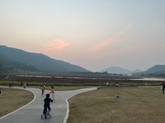 -风云岭森林公园