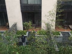 -上海崇明金茂凯悦酒店