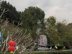 -广州白江湖森林公园