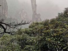 -三清山风景名胜区
