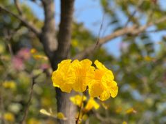 -荔湾湖公园