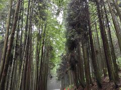 -山王坪喀斯特国家生态公园