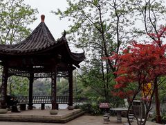 -重庆彩云湖湿地公园