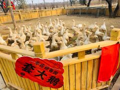 -辛庄国际文化艺术区