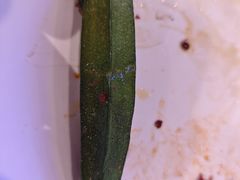 -218音乐旋转餐厅·高空景观