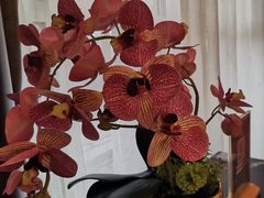 -楚禾宴·家宴(光谷大道店)