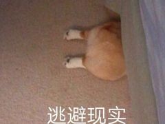 -Play1家庭娱乐中心(包河大玩家店)