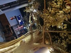 鸳鸯锅底-傣妹火锅(南京东路一店)