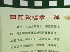 -上海昆虫博物馆