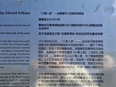 -美人鱼