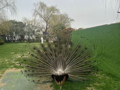 -J Create城市露营咖啡·简餐·宠物(上海动物园店)