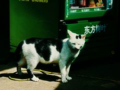 -西溪南古村落