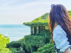-枸杞岛