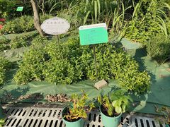 -广东中医药博物馆