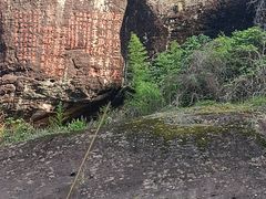 -九曲溪竹筏码头