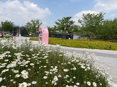 -茶人村·前滩江景雅宴(上海首店)