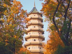 -灵谷景区