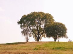 -良渚古城遗址公园