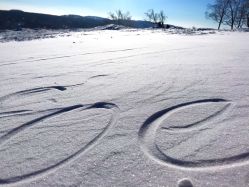 -大秃顶子山