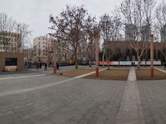 -山东省青岛第二中学(江西路分校)