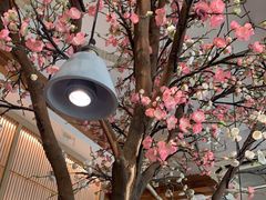 -蜜桃餐厅·伴山(湖滨商业街店)