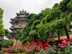 -阅江楼风景区