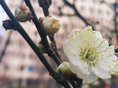-山东大学(趵突泉校区)