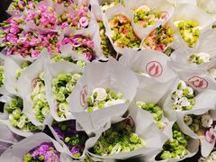 -循礼门鲜花花市(武汉循礼门店)