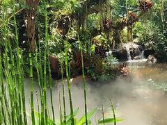 -昆明植物园