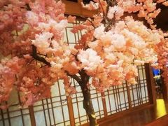 -极乐汤(川沙店)