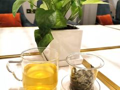 绿茶-传齐书苑(齐盛店)