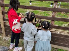 -三圣花乡旅游区