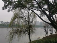 -南宁南湖公园