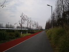 景点-上海长兴岛郊野公园