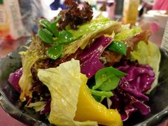 田园拌菜-燕春楼(海河华鼎店)